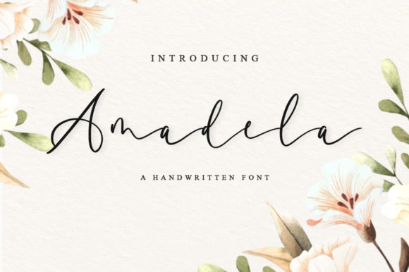Amadela Script Font for Elegant Web Design