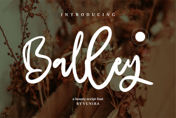 Balley: A Relaxed Script Font for Authentic Brand Identity