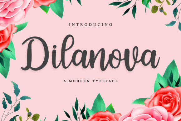 Dilanova Script Font: A Delicate Touch for Elegant Web Design