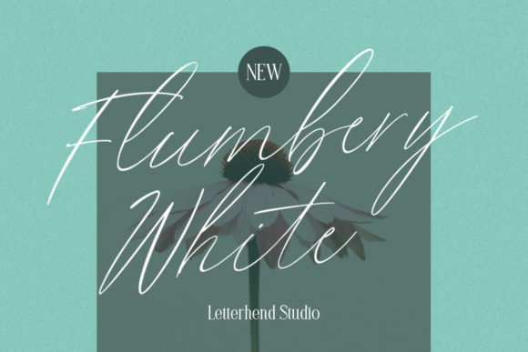 Flumbery White: A Playful Script Font for Creative Branding