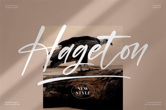 Hageton Script Font: Elevate Brand Elegance