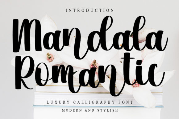 Mandala Romantic: A Script Font for Elegant Small Business Branding