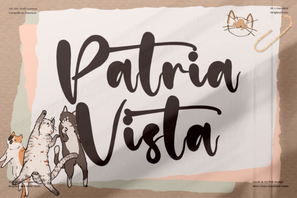 Patria Vista Script Font Review: Elegant Type for Digital Brands