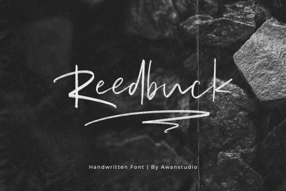Reedbuck: The Elegant Script Font for Scroll-Stopping Brand Content