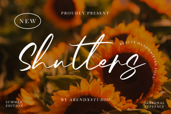 Shutters Script Font for Modern Web Design