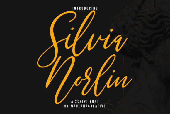 Silvia Norlin: A Relaxed Script Font for Modern Brand Identity
