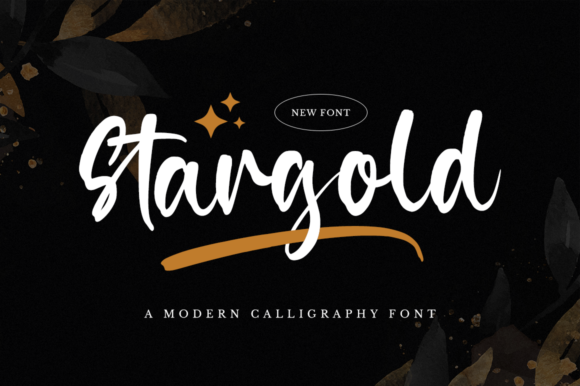Stargold Brushed Script Typeface Review