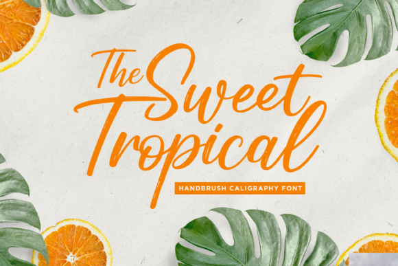 Sweet Tropical: A Script Font for Elegant Web Design